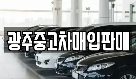 전라남도 장성군 남면 중고차매입 전문 광주중고차매입판매