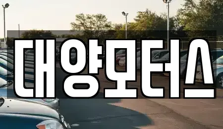 전라남도 장성군 북하면 중고차 전문 대양모터스