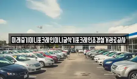 전라남도 장성군 북하면 중고차 전문 미래중기미니포크레인미니굴삭기포크레인조경철거관로공사