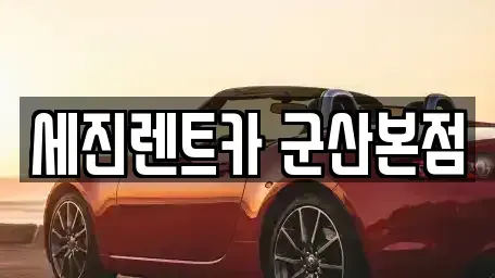 전북 군산시 경장동 장기렌트카 전문 세진렌트카 군산본점