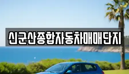 전북 군산시 경장동 중고차 전문 신군산종합자동차매매단지