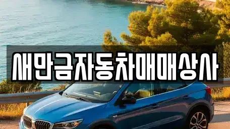 전북 군산시 금암동 중고차 전문 새만금자동차매매상사
