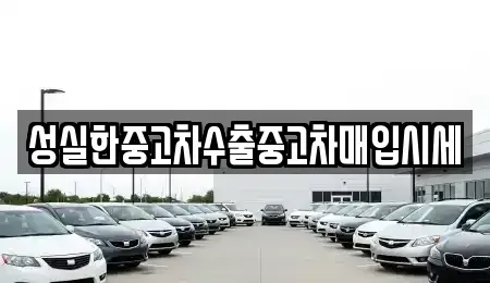 전북 군산시 금암동 중고차매입 전문 성실한중고차수출중고차매입시세