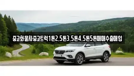 전북 군산시 서흥남동 중고차 전문 중고화물차중고트럭1톤2.5톤3.5톤4.5톤5톤매매수출매입