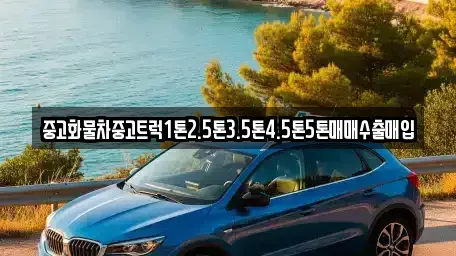전북 군산시 신풍동 중고차매입 전문 중고화물차중고트럭1톤2.5톤3.5톤4.5톤5톤매매수출매입