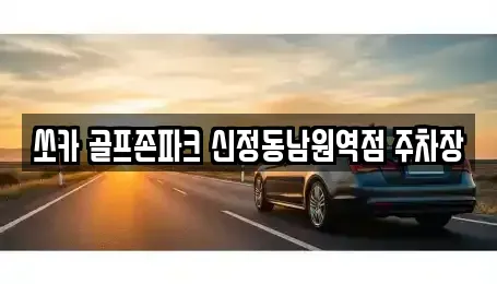 전북 남원시 화정동 렌트카 전문 쏘카 골프존파크 신정동남원역점 주차장