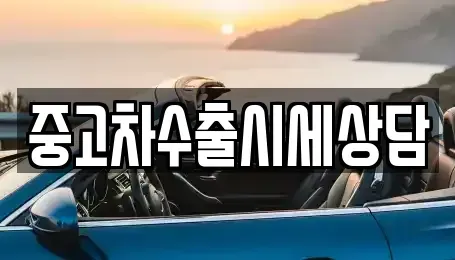 전북 익산시 신흥동 중고차 전문 중고차수출시세상담
