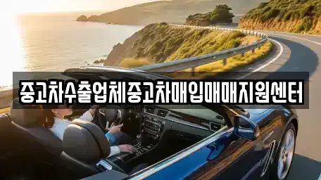전북 익산시 신흥동 중고차매입 전문 중고차수출업체중고차매입매매지원센터