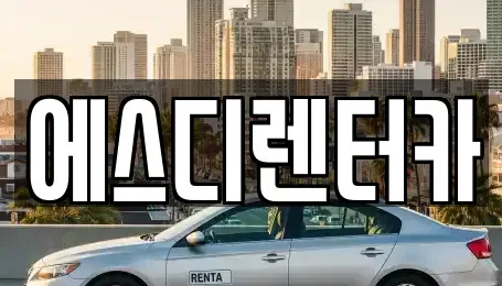 전북 익산시 현영동 장기렌트카 전문 에스디렌터카