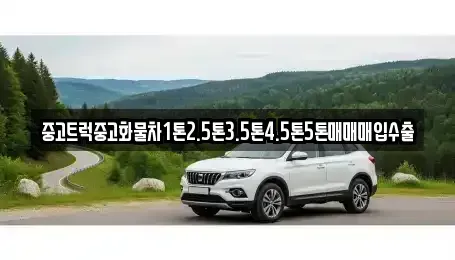전북 장수군 장수읍 중고차 전문 중고트럭중고화물차1톤2.5톤3.5톤4.5톤5톤매매매입수출