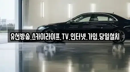 전북 장수군 장수읍 중고차매입 전문 유선방송.스카이라이프.TV.인터넷.가입.당일설치