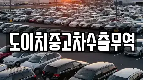 전북 전주시 완산구 서완산동2가 중고차 전문 도이치중고차수출무역