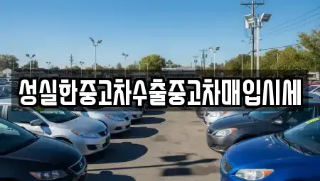 전북 전주시 완산구 서완산동2가 중고차 전문 성실한중고차수출중고차매입시세