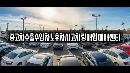 전북 정읍시 하모동 중고차매입 전문 중고차수출수입차노후차사고차량매입매매센타