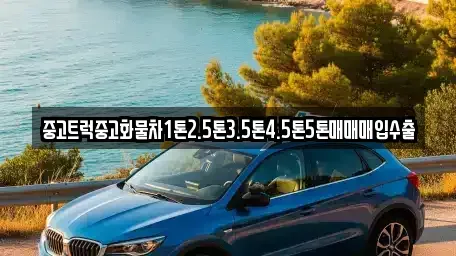 전북 정읍시 하모동 중고차매입 전문 중고트럭중고화물차1톤2.5톤3.5톤4.5톤5톤매매매입수출
