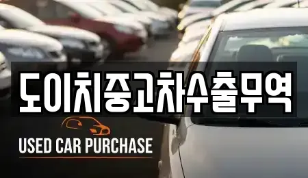 전북특별자치도 고창군 신림면 중고차 전문 도이치중고차수출무역