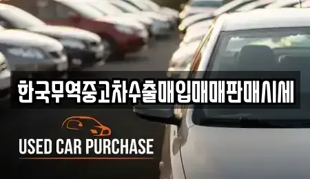 전북특별자치도 고창군 신림면 중고차 전문 한국무역중고차수출매입매매판매시세