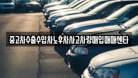 전북특별자치도 고창군 신림면 중고차매입 전문 중고차수출수입차노후차사고차량매입매매센타