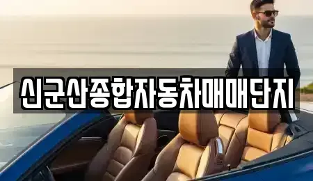 전북특별자치도 군산시 구암동 중고차매매 전문 신군산종합자동차매매단지
