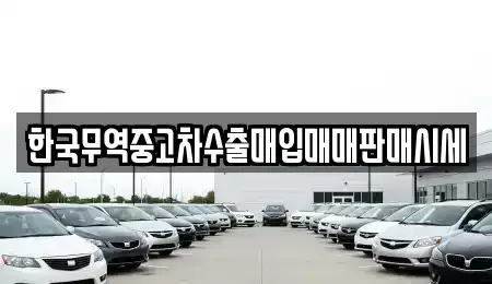 전북특별자치도 군산시 구암동 중고차매입 전문 한국무역중고차수출매입매매판매시세