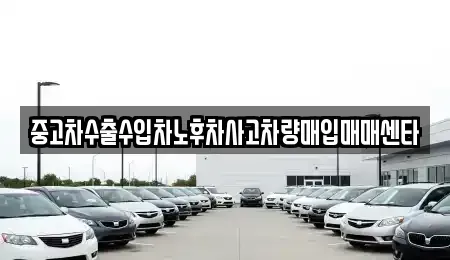전북특별자치도 김제시 검산동 중고차매입 전문 중고차수출수입차노후차사고차량매입매매센타