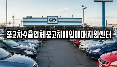 전북특별자치도 김제시 검산동 중고차매입 전문 중고차수출업체중고차매입매매지원센터