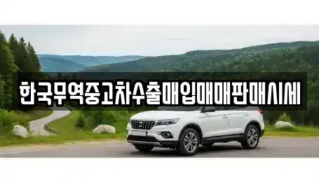전북특별자치도 김제시 검산동 중고차매입 전문 한국무역중고차수출매입매매판매시세