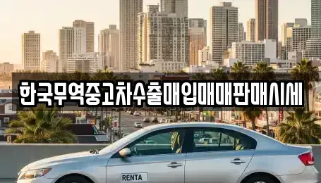전북특별자치도 김제시 오정동 중고차매입 전문 한국무역중고차수출매입매매판매시세