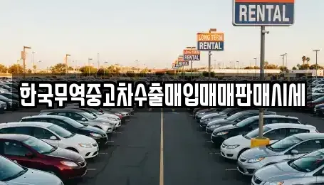 전북특별자치도 익산시 망성면 중고차매입 전문 한국무역중고차수출매입매매판매시세