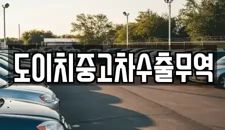 전북특별자치도 임실군 신평면 중고차매매 전문 도이치중고차수출무역