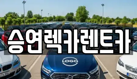 전북특별자치도 전주시 덕진구 여의동 렌트카 전문 승연렉카렌트카