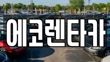 전북특별자치도 전주시 덕진구 여의동 렌트카 전문 에코렌타카