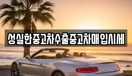 전북특별자치도 전주시 덕진구 여의동 중고차매입 전문 성실한중고차수출중고차매입시세
