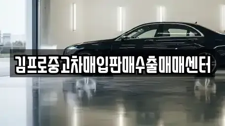 전북특별자치도 정읍시 상동 중고차매입 전문 김프로중고차매입판매수출매매센터