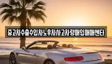 전북특별자치도 정읍시 상동 중고차매입 전문 중고차수출수입차노후차사고차량매입매매센타