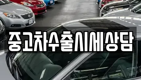 전북특별자치도 정읍시 입암면 중고차매매 전문 중고차수출시세상담