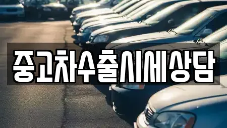 전북특별자치도 정읍시 진산동 중고차 전문 중고차수출시세상담