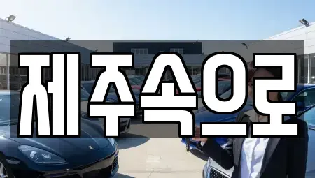 제주 제주시 용담일동 렌트카 전문 제주속으로