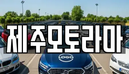 제주 제주시 회천동 중고차매매 전문 제주모토라마