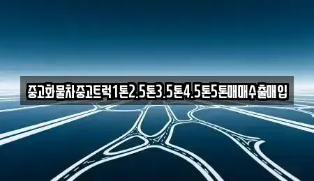 제주특별자치도 서귀포시 영남동 단기렌트카,중고차매입,중고차매매,중고차,렌트카,장기렌트카
