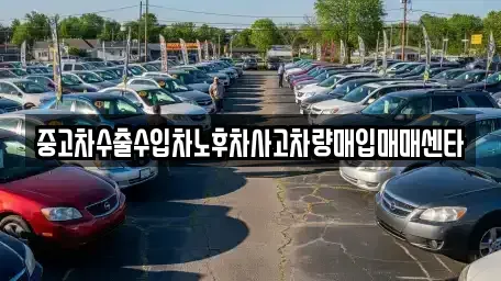 제주특별자치도 제주시 오등동 중고차 전문 중고차수출수입차노후차사고차량매입매매센타