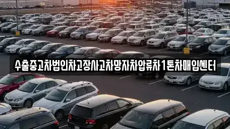 제주특별자치도 제주시 오등동 중고차매매 전문 수출중고차법인차고장사고차망자차압류차1톤차매입센터
