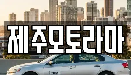 제주특별자치도 제주시 회천동 중고차매매 전문 제주모토라마