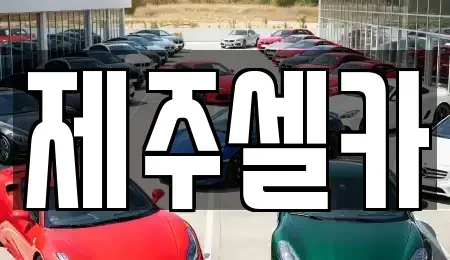 제주특별자치도 제주시 회천동 중고차매매 전문 제주셀카