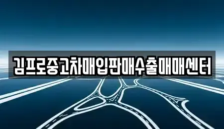 충남 공주시 금성동 중고차 전문 김프로중고차매입판매수출매매센터