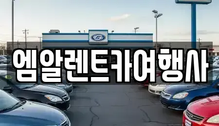 충남 공주시 금흥동 렌트카 전문 엠알렌트카여행사
