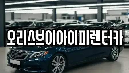 충남 공주시 금흥동 렌트카 전문 오리스브이아이피렌터카