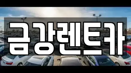 충남 당진시 석문면 렌트카 전문 금강렌트카
