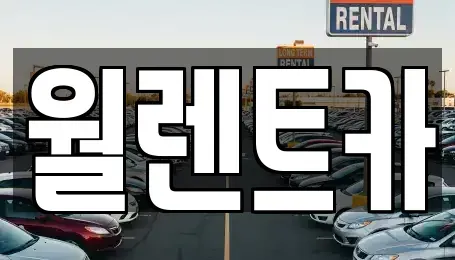 충남 당진시 석문면 렌트카 전문 월렌트카