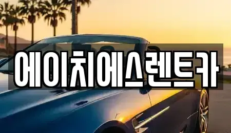 충남 당진시 송악읍 렌트카 전문 에이치에스렌트카